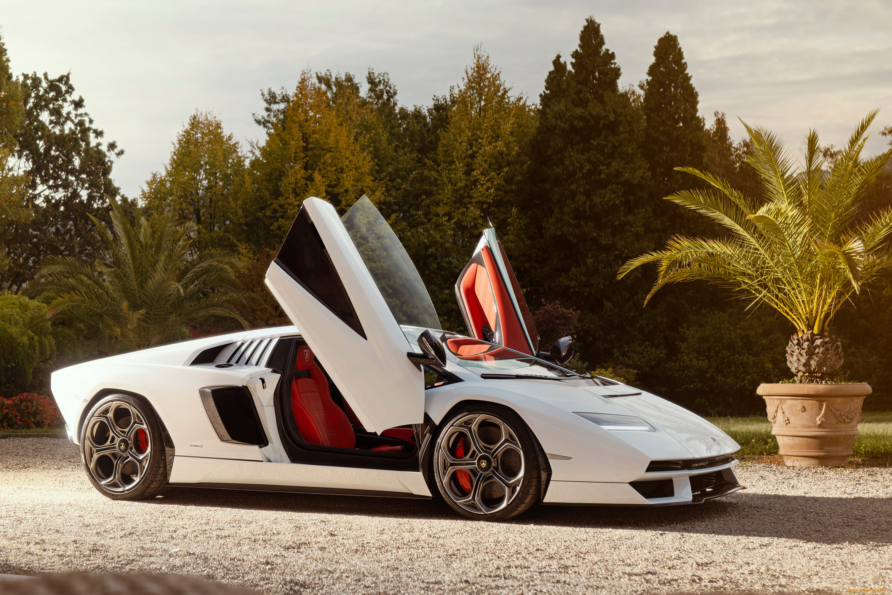 , lamborghini